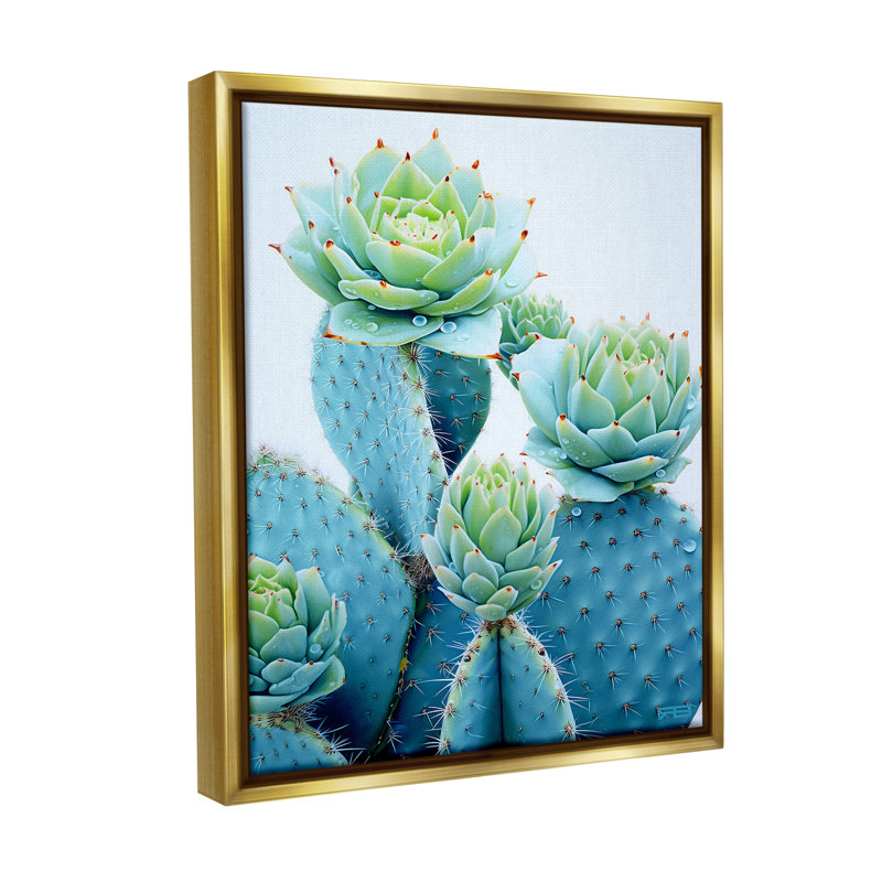 «Cactus With Succulent Blooms» par RB sur toile, Cadre flottant métallique doré, H 31 po x l 25 po