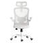 Chaise ergonomique moderne avec accoudoirs lombaires réglables et rabattables-117396253-117396256