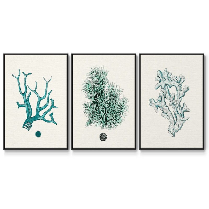 Ensemble de 3 pièces encadrées sur toile Antique Coastal Coral IV, Noir, H 40 po x l 78 po