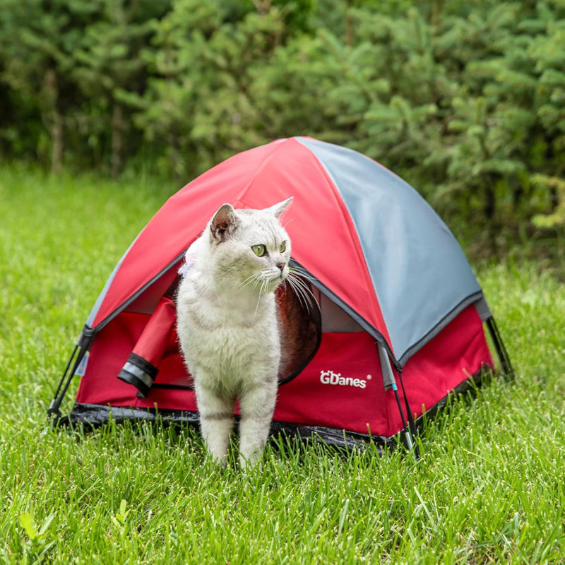 Tente de chat rouge d'intérieur / extérieur pour chat avec petits coussins