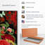 «Frida A Love Story» sur toile-639086635