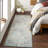 Hillsby Oriental Indoor Rug-294251461