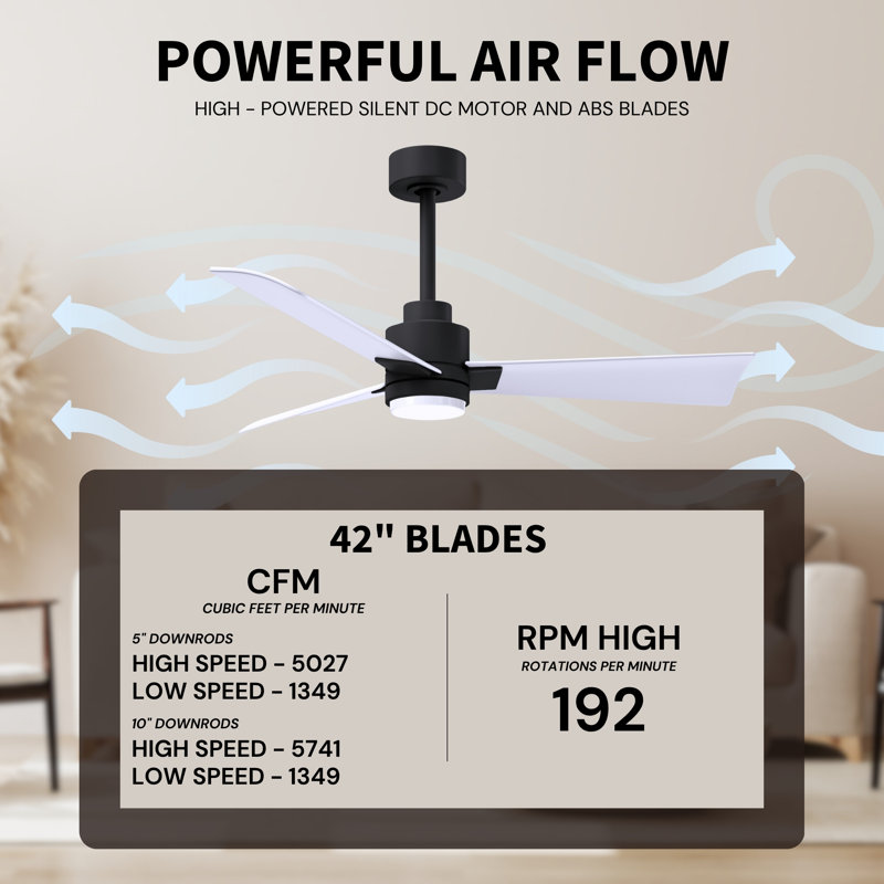 Alessandra - Three Blade Transitional Ceiling Fan -LED, Matte Black, 42", Matte White