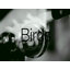 Birds by Toikka Bird Figurine