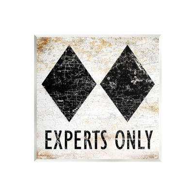 Rustic Experts Only Skiing Wall Plaque Art by Peter Horjus