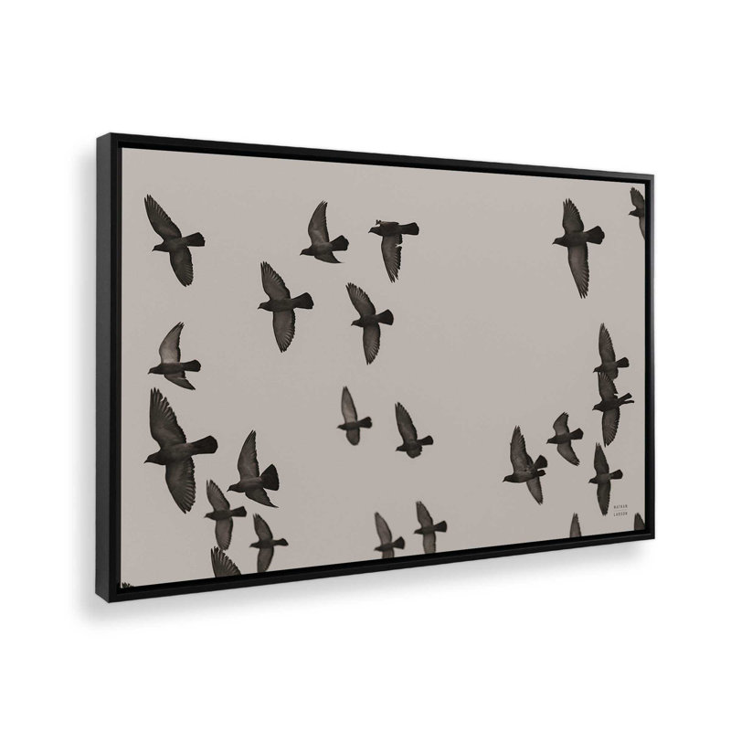 «Flock I» par Nathan Larson, reproduction d'art sur toile, Noir, H 8 po x l 12 po, Cadre flottant