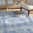 Dorothea Oriental Indoor Rug-1564791068