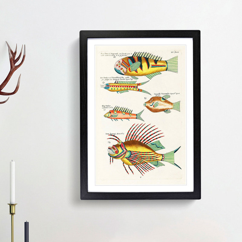 East Indies Fish Illustrations XV by Louis Renard - Picture Frame Graphic Art Print, 65cm H x 48cm W x 2cm D, Black Framed