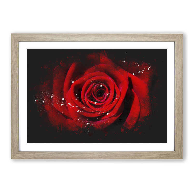 Red Rose Flower Vol.5 - Picture Frame Painting, 27cm H x 36cm W x 2cm D, Oak Framed