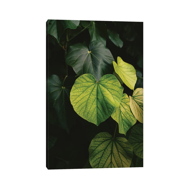 Hawaiian Heart by Bethany Young - Print on Canvas, 101.6cm H x 66.04cm W x 1.91cm D, Wrapped Canvas
