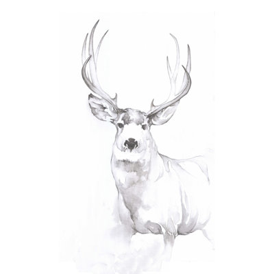 " Deer Charcoal Drawing And Wash "