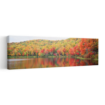 Savoy Mountain State Forest, Massachusetts, Usa Colorful Abstract Contemporary Autumn Forest Wall Art