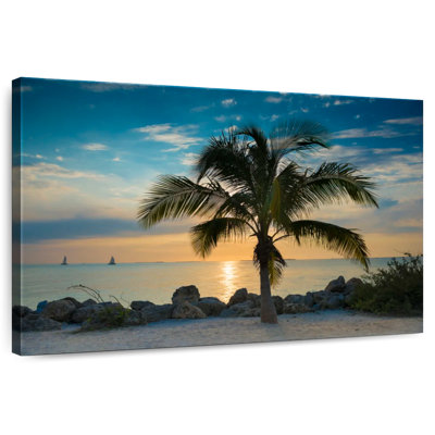 Palmier Gillard Key West