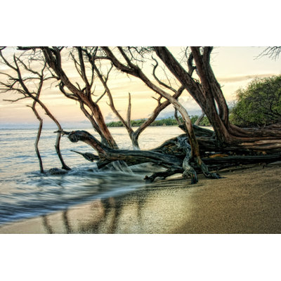 Reaching For The Sea I by Grace Popp - Wrapped Canvas Painting