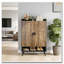 Armoire de rangement moderne pour chaussures-1359642662