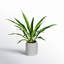 23'' Faux Plant in Ceramic Pot