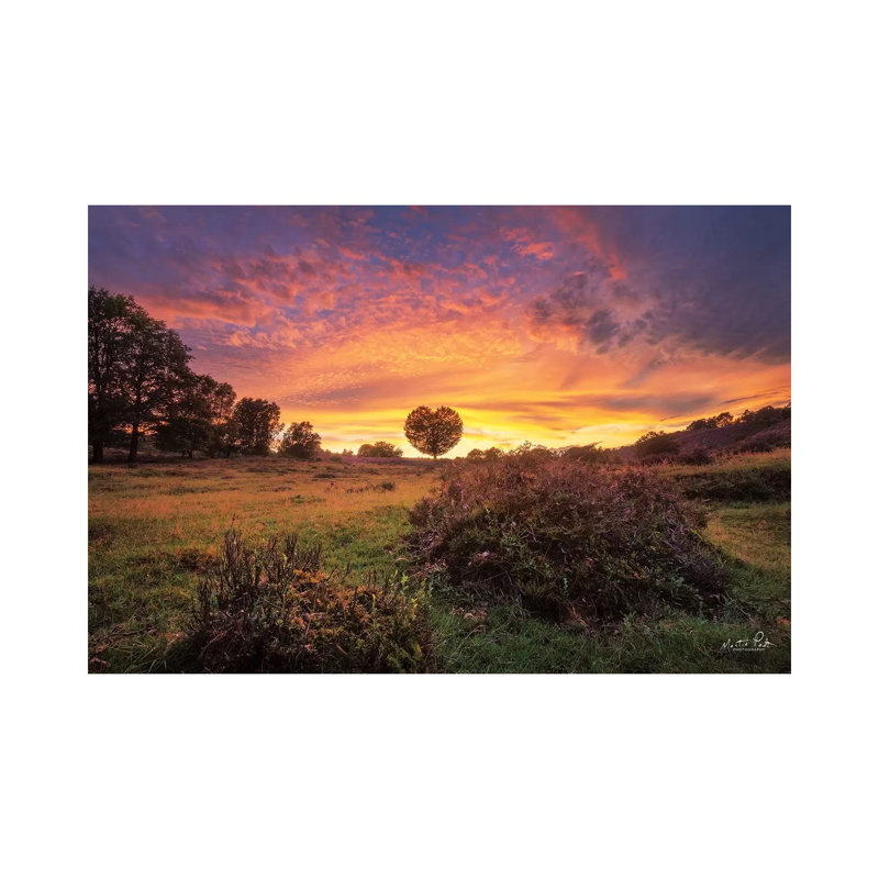 From the Netherlands with Love 1 Piece Wrapped Canvas Wall Art, 30.48 cm H x 45.72 cm W