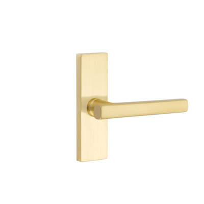 Levier de porte d'intimité (lit et bain) avec rosette