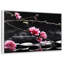 Cerisier en fleurs-900413180-900413155