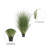 Kellan PVC Artificial Potted Green Curled Grass-947253906
