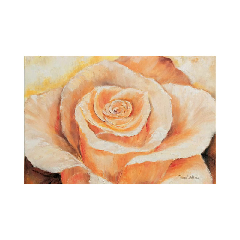 Rose In Detail by Rian Withaar - Wrapped Canvas Panoramic Gallery-Wrapped Canvas Giclée, 20.32 cm H x 30.48 cm W