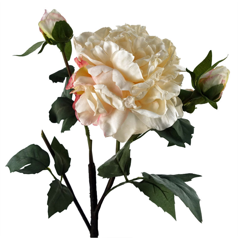 Plastic, Silk Artificial Arrangement, Cream