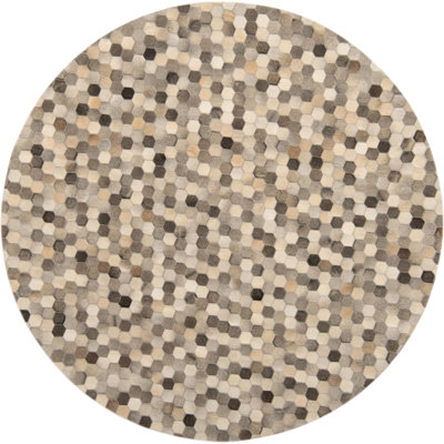 Shasa Abstract Indoor Rug