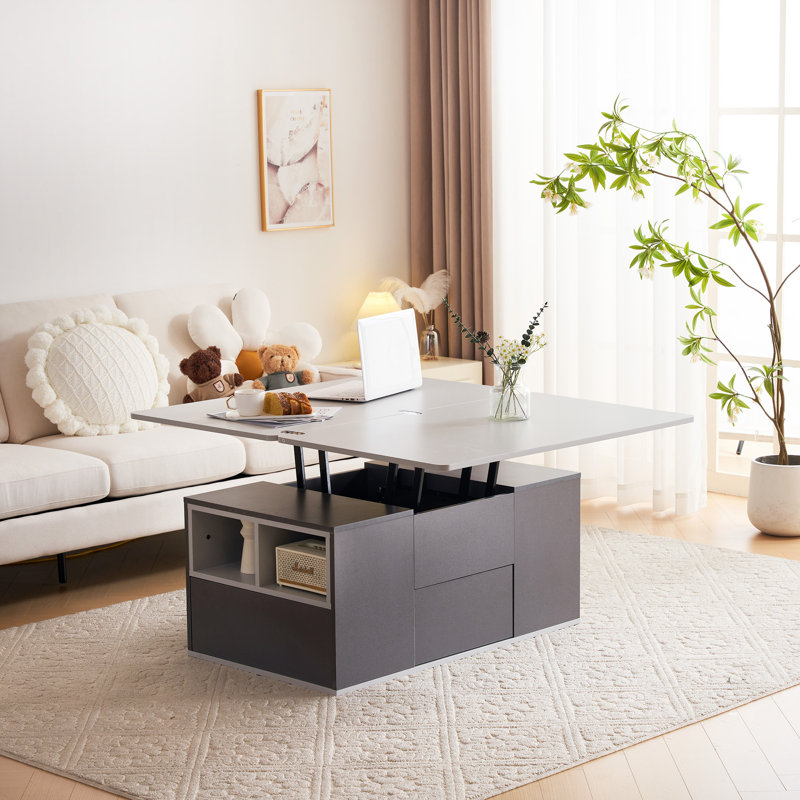 Assal Lift Top Frame Coffee Table with Storage, Black, Black