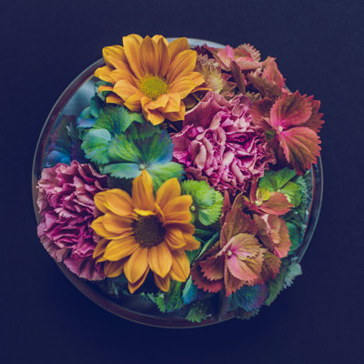 Fresh Flowers Still Life by Knape - Wrapped Canvas Print
