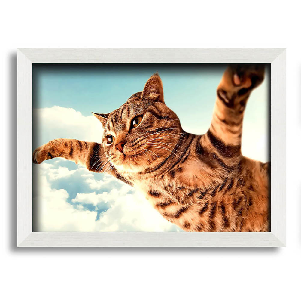 I Believe I Can Fly Katze - Einzelner Bilderrahmen Kunstdrucke