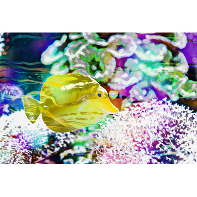 Récif vibrant II