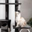 Floor to Ceiling Cat Tree 240260cm Adjustable Height White-1062085101
