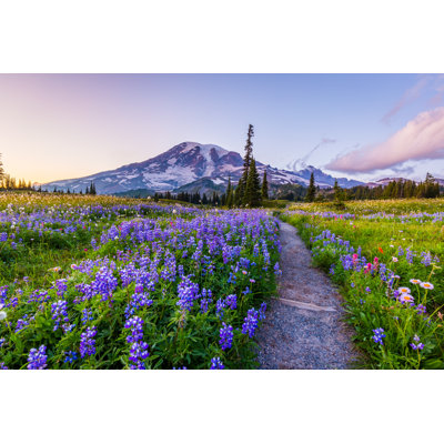 " Reflection Lake Trail-Summer, Mount Rainier "