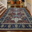 Sultanabad Wool Oriental Area Rug