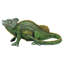Statue de chameleon voile