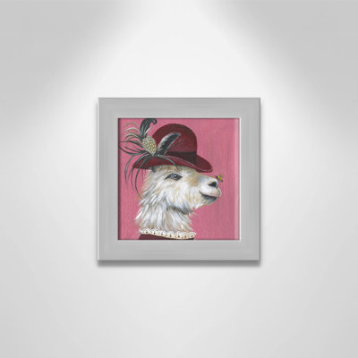 Llama Animals