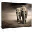 Paire d'éléphants, mouvement - impression-35105258-35105263