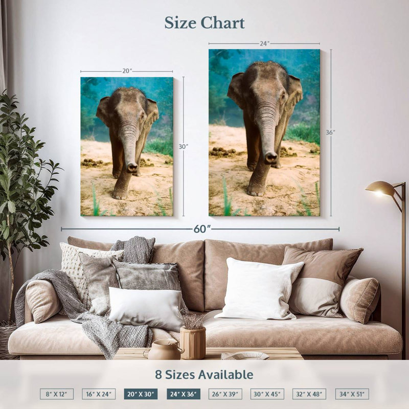 Curieux bébé éléphant Brampt, H 36 po x l 24 po