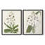 Impression encadrée Flore Albo I-Premium - prête à être accrochée - aucun clou requis - aucun clou requis-708635323-708635327
