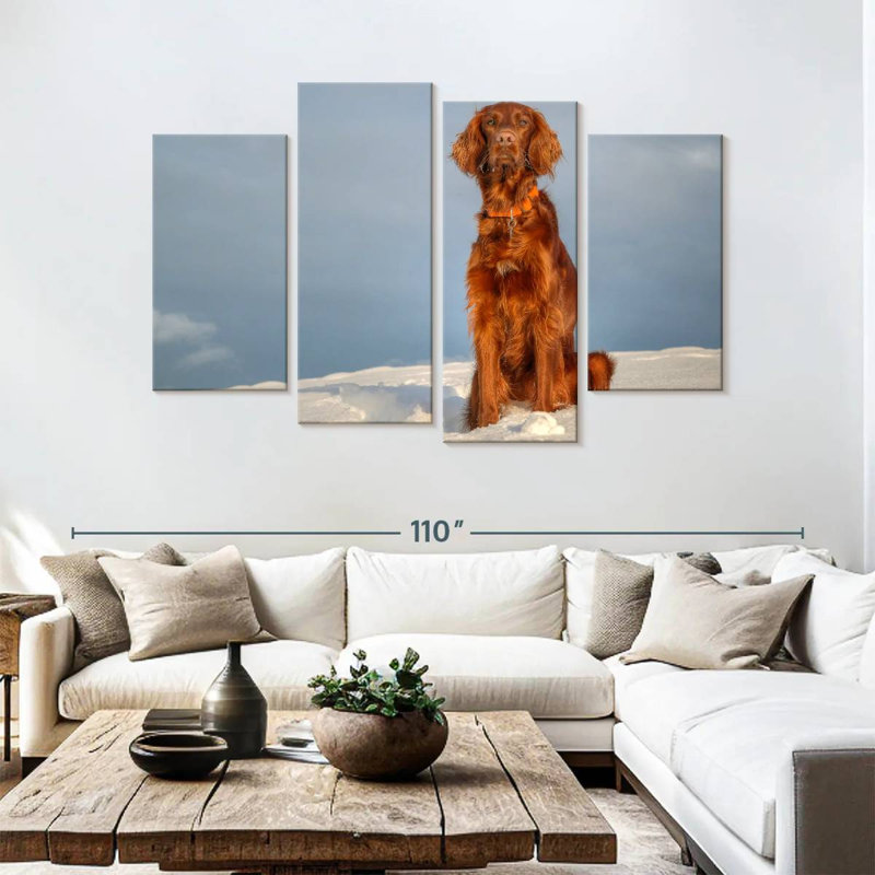 Setter irlandais Brampt sur neige, H 54 po x l 84 po