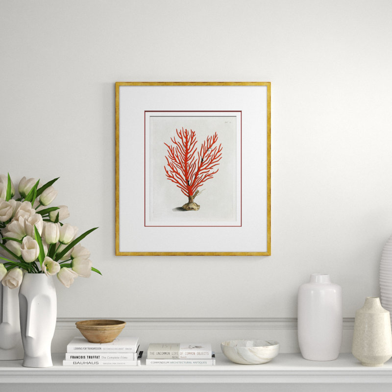 «Coastal Collection - Coral in Red» - Cadre photo, impression sur papier