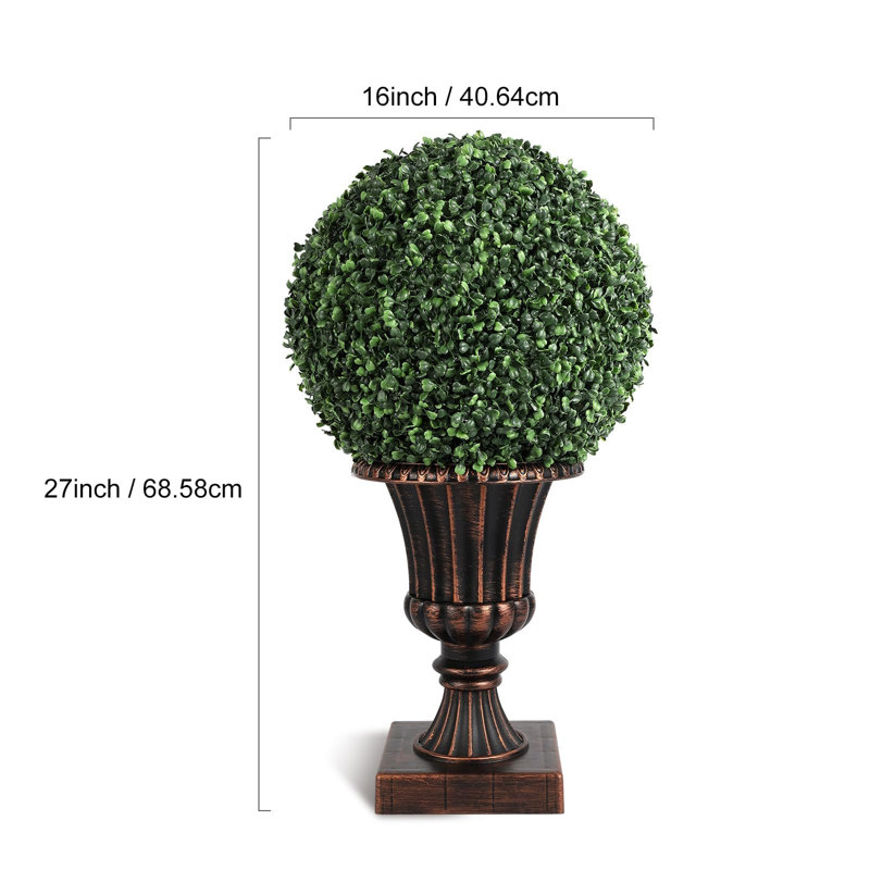 68.5cm Plant
