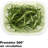 GreenSaver Herb Keeper