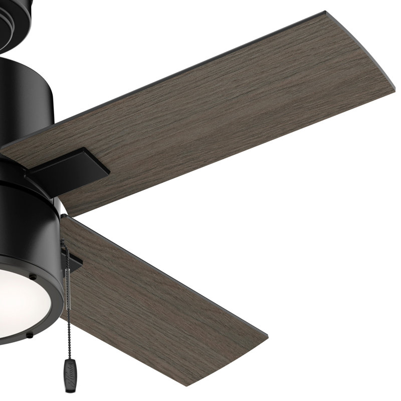 Ventilateur de plafond standard à 4 pales de 42 po avec chaîne de traction et ensemble d'éclairage inclus Beck, Noir mat