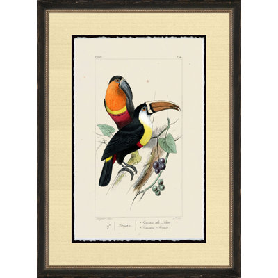 Torean Print
