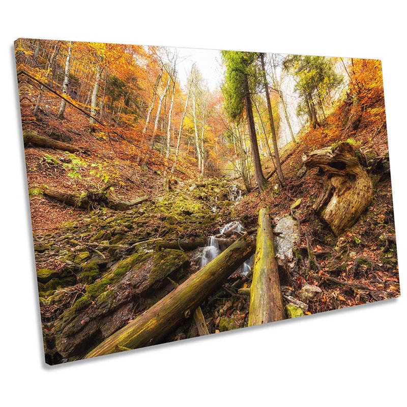 Woodland Forest Landscape - Wrapped Canvas Print, 50.8cm H x 76.2cm W x 2cm D