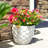 Leili Ceramic Pot Planter