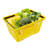 Red Barrel Studio Polypropylene Plastic Basket