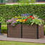 Lit surélevé surélevé d'apparence en bois, boîte à fleurs en composite durable avec fond ouvert, peu encombrant et facile à assembler pour le jardinage extérieur