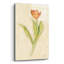 «Red Tulip Stem» par Cheri Blum, art mural en verre acrylique-453829846